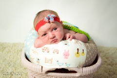 Newborn Photography