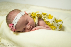 Newborn Photography