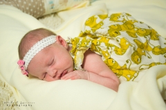 Newborn Photography