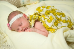 Newborn Photography