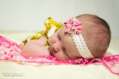 Newborn Photography