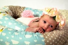 Newborn Photography