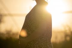 Michael Laurence Photography