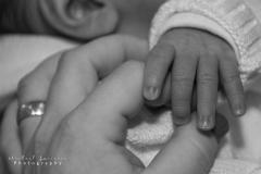 Michael Laurence Photography